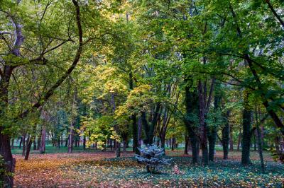 Прикрепленное изображение: DSC04158-2.jpg